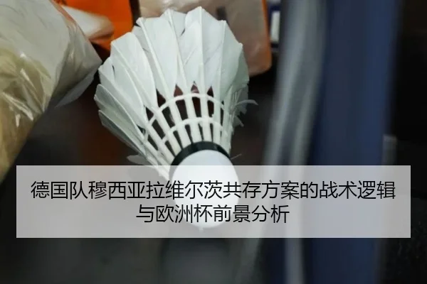 德国队穆西亚拉维尔茨共存方案的战术逻辑与欧洲杯前景分析 | kaiyun